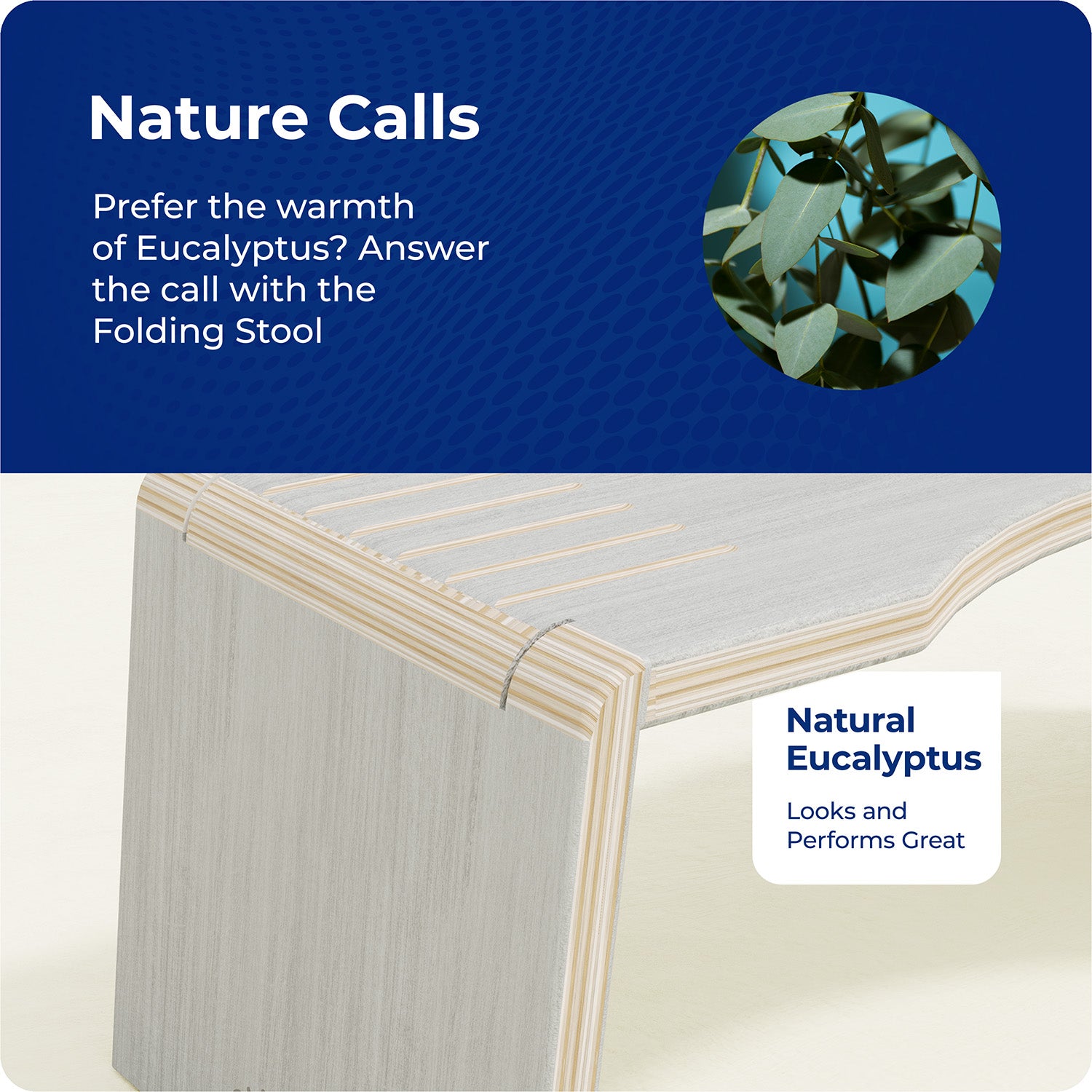 OSLO EUCALYPTUS FOLDING STOOL - Sqoatty Pottys